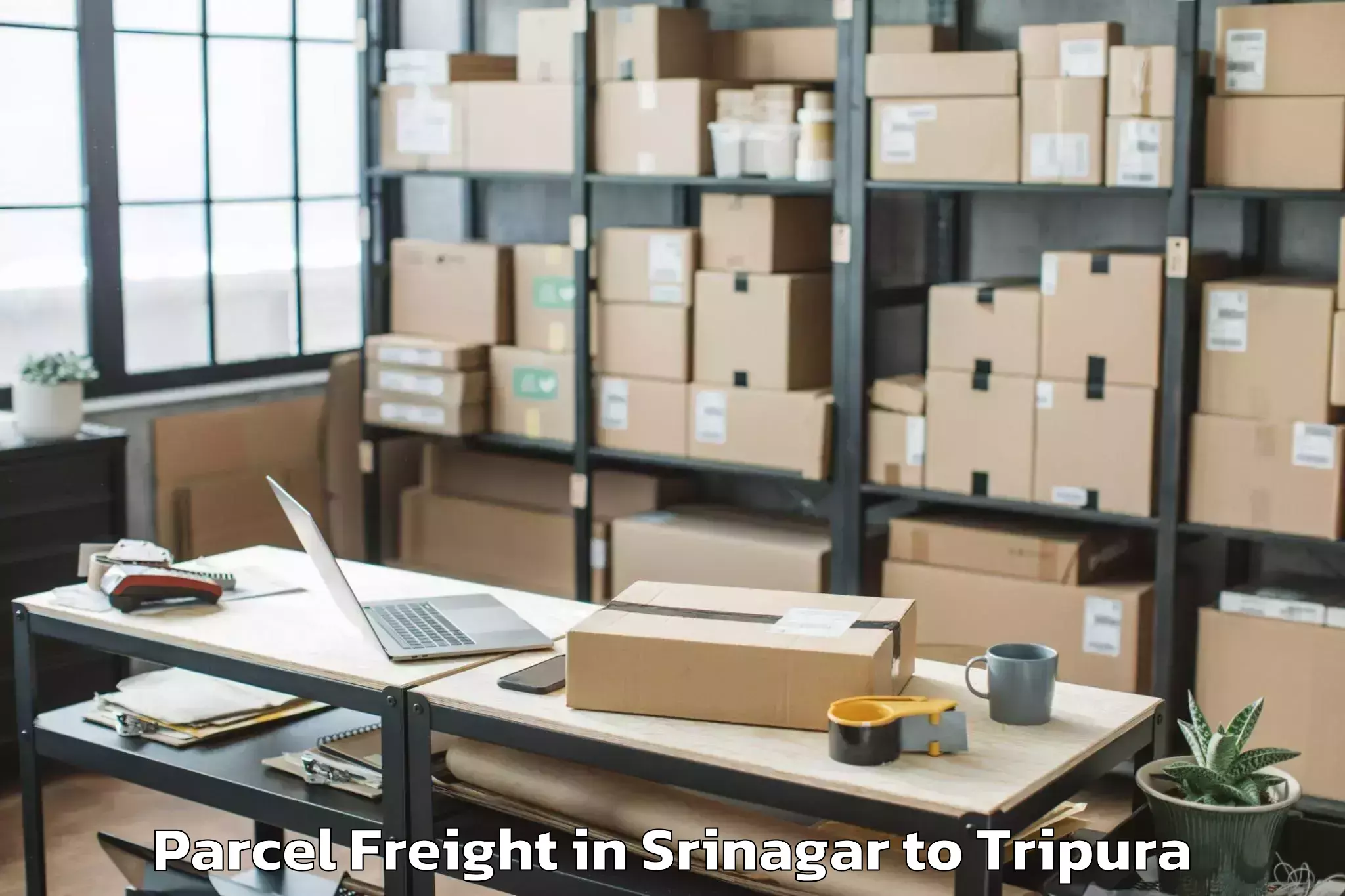 Easy Srinagar to Hezamara Parcel Freight Booking